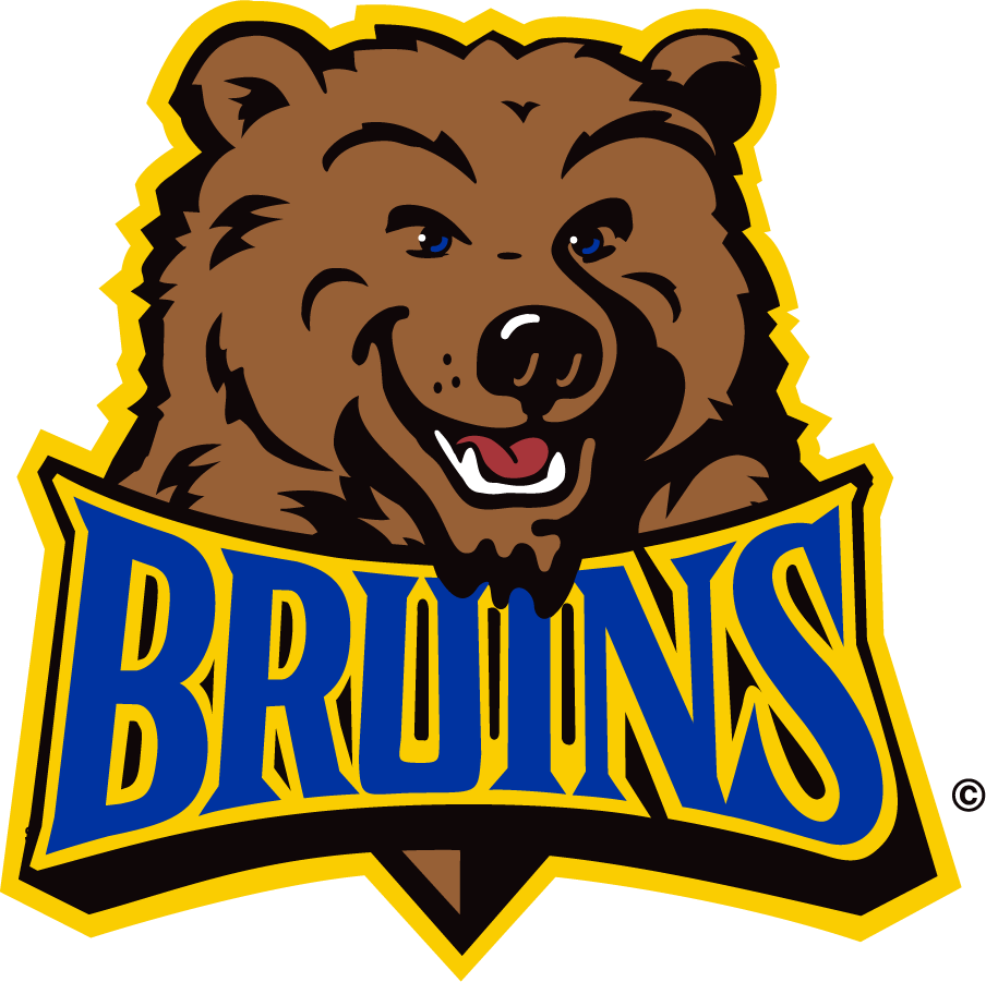 UCLA Bruins 1996-2004 Alternate Logo diy iron on heat transfer